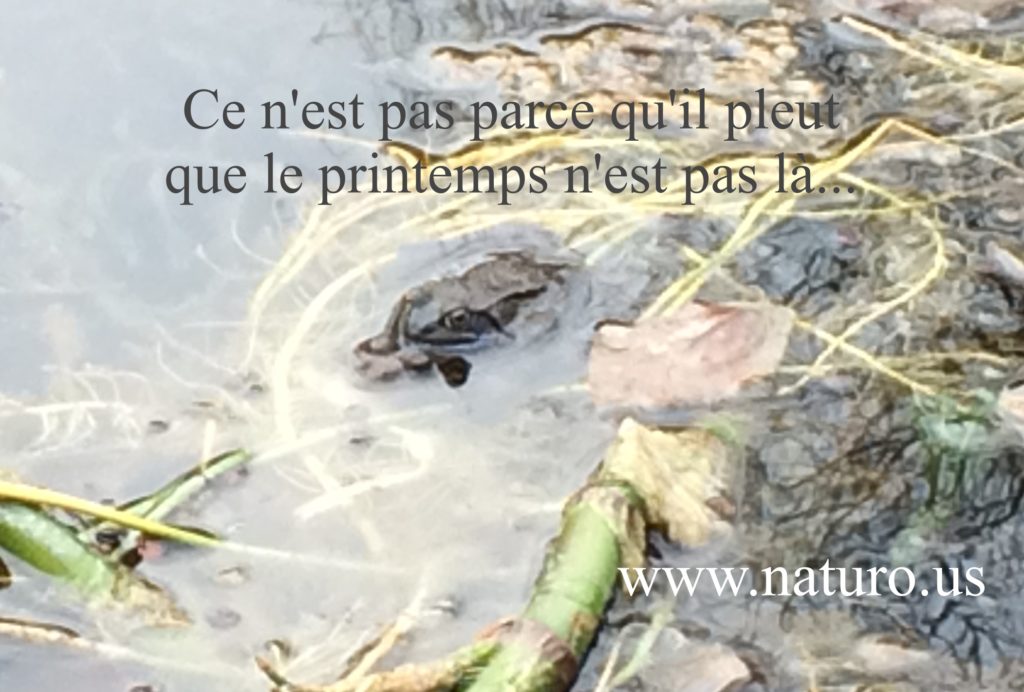 naturopathe, thérapeute de couple, bruxelles, lasne, perpignan, belgique, naturopathie, therapie, energeticien, energetique, formation therapeute, preparation naissance, suivi post partum, coach, sportif, deuil, therapie de couple, changement de carriere, mal de dos, stress, deprime, burn out, traitement burn out bruxelles, Lasne, examens, rester en bonne sante, sommeil, poids, anorexie, boulimie, orthorexie, fatigue chronique, confiance en soi, analyse des cheveux, constipation, coach de vie.